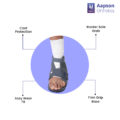 Product Features (11)