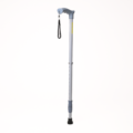 Walking Cane