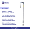 Walking Cane 2