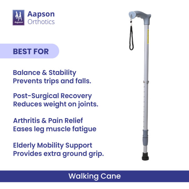 Walking Cane 2